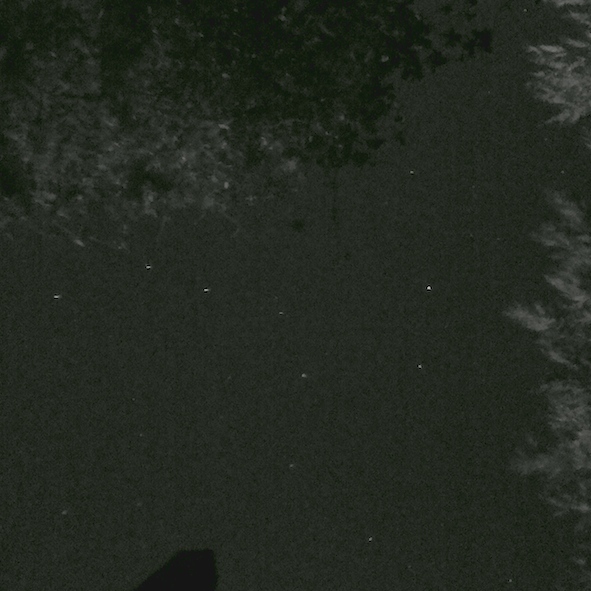 Big dipper as seen from my pond